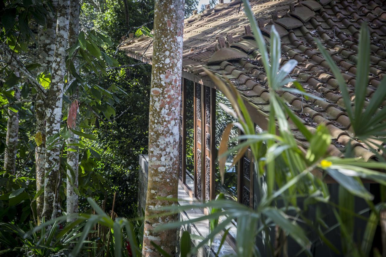 Alassari Plantation Selemadeg  Exterior photo